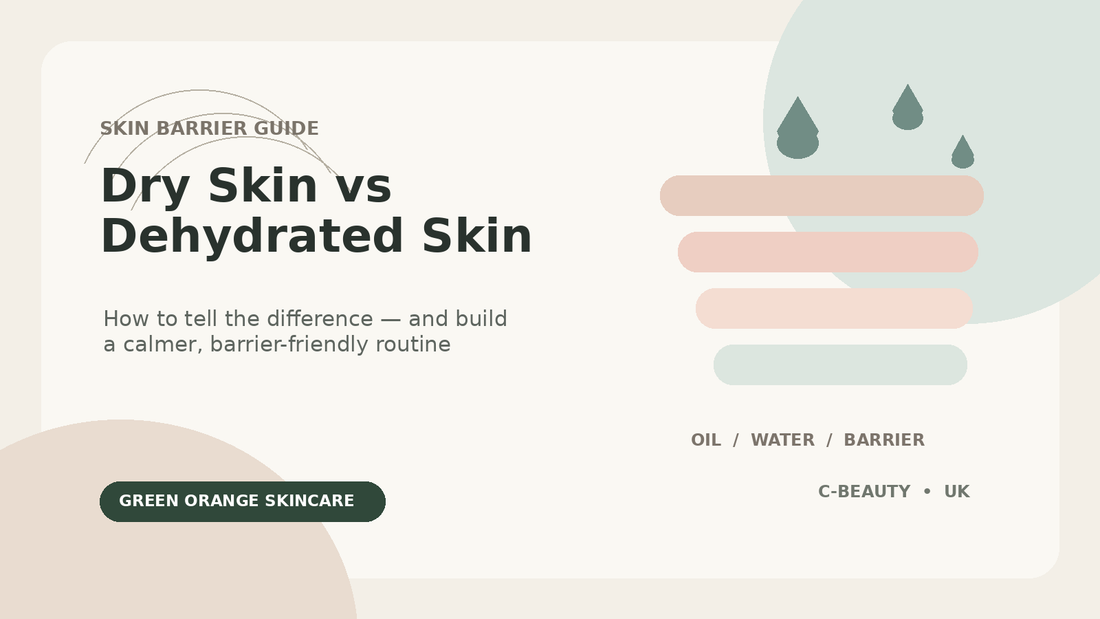 Editorial illustration comparing dry skin and dehydrated skin with abstract skin barrier layers and water droplets